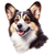 132 Cardigan Welsh Corgi Poster Canvas Movie Film Print A0 A1 A2 A3 A4 A5 A6 Art