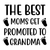 the best moms get promoted to grandma-01 (2) Poster Canvas Movie Film Print A0 A