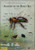 Anatomy of the bee Poster Canvas Movie Film Print A0 A1 A2 A3 A4 A5 A6 Art Wall