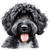 124 Portuguese Water Dog Poster Canvas Movie Film Print A0 A1 A2 A3 A4 A5 A6 Art
