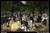 edouard-manet---music-in-the-tuileries-gardens_11061381374_o(1) Poster Canvas Pr