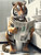 Tiger on Toilet 3by4 Poster Canvas Funny Annimals Pritnt A0 A1 A2 A3 A4 A5 A6