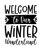 Welcome to Our Winter Wonderland Poster Canvas Movie Film Print A0 A1 A2 A3 A4 A