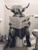 Highland Cow on Toilet-8--3by4 Poster Canvas Funny Annimals Pritnt A0 A1 A2 A3 A