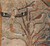035. birds in a bush of acacia (detail of the mural of the tomb of khumhotep) Po