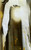 1926 Georgia O'Keeffe Le Shelton avec des taches de soleil The Shelton with Suns