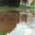 Gustav Klimt - A morning by the pond 1899 Poster Canvas Movie Film Print A0 A1 A