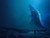 Godzilla King of the Monsters 15 Poster Canvas Movie Film Print A0 A1 A2 A3 A4 A