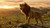 simba_in_the_lion_king_4k-3840x2160 Poster Canvas Movie Film Print A0 A1 A2 A3 A