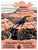 8568545787_Grand Canyon-artofuniverse0