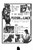 Flesh And Lace 02 Poster Canvas Movie Film Print A0 A1 A2 A3 A4 A5 A6 Art Wall D