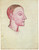 Pablo Picasso - Study for Les Demoiselle Avignon The medical student 1907 Poster