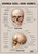 Human Skull Bones 2 Poster Canvas Movie Film Print A0 A1 A2 A3 A4 A5 A6 Art Wall