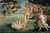 The Birth of Venus, Botticelli, 1484 Poster Canvas Movie Film Print A0 A1 A2 A3