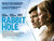Rabbit Hole (2010)_4 Poster Canvas Movie Film Print A0 A1 A2 A3 A4 A5 A6 Art Wal