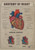 Anatomy of the heart 1 Poster Canvas Movie Film Print A0 A1 A2 A3 A4 A5 A6 Art W