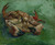 Crustacean lying on his back Van Gogh