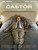 The Beaver (2011)_3 Poster Canvas Movie Film Print A0 A1 A2 A3 A4 A5 A6 Art Wall
