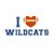 Wildcats-Football-Team_2 Poster Canvas Movie Film Print A0 A1 A2 A3 A4 A5 A6 Art