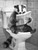 Badger on Toilet-BlackAndWhite-3by4 Poster Canvas Funny Annimals Pritnt A0 A1 A2