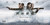 Looper (2012)_11 Poster Canvas Movie Film Print A0 A1 A2 A3 A4 A5 A6 Art Wall De