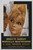 A Very Private Affair (1962)_0-fotor-2024121517188 Poster Canvas Movie Film Prin