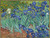 Irises Van Gogh