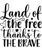 Land of the free thanks to the brave-01 Poster Canvas Movie Film Print A0 A1 A2