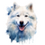 Samoyed (1) Poster Canvas Movie Film Print A0 A1 A2 A3 A4 A5 A6 Art Wall Decorat