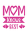 MOM KNOWS BEST 1-01 Poster Canvas Movie Film Print A0 A1 A2 A3 A4 A5 A6 Art Wall