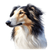 178 Borzoi Poster Canvas Movie Film Print A0 A1 A2 A3 A4 A5 A6 Art Wall Decorati
