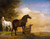 PotterPaulus-Two_Horses-Sun Poster Canvas Movie Film Print A0 A1 A2 A3 A4 A5 A6