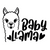 Baby Llama (2) Poster Canvas Movie Film Print A0 A1 A2 A3 A4 A5 A6 Art Wall Deco