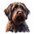 172 Wirehaired Pointing Griffon Poster Canvas Movie Film Print A0 A1 A2 A3 A4 A5
