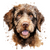 Spanish Water Dog (1) Poster Canvas Movie Film Print A0 A1 A2 A3 A4 A5 A6 Art Wa