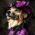 Golden retriever in a decorative, ornate outfit with a prominent pink hat, which