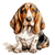 Basset Hound (2) Poster Canvas Movie Film Print A0 A1 A2 A3 A4 A5 A6 Art Wall De