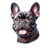 9 French Bulldog Poster Canvas Movie Film Print A0 A1 A2 A3 A4 A5 A6 Art Wall De