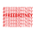 Free Britney (22) Poster Canvas Movie Film Print A0 A1 A2 A3 A4 A5 A6 Art Wall D