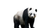 Animal (9) Poster Canvas Movie Film Print A0 A1 A2 A3 A4 A5 A6 Art Wall Decorati