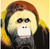Andy Warhol - Orangutan Endangered Species 1983 Poster Canvas Movie Film Print A