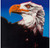 Andy Warhol - Bald Eagle from Endangered Species 1983 Poster Canvas Print Art Pa
