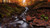 autumn_forest_waterfall_4k_8k-5120x2880 Poster Canvas Movie Film Print A0 A1 A2