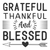 Grateful- thankful & blessed-01 (2) Poster Canvas Movie Film Print A0 A1 A2 A3 A