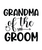 Grandma of the Groom-01 (2) Poster Canvas Movie Film Print A0 A1 A2 A3 A4 A5 A6
