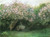 Monet- Beneath the Lilacs Poster Canvas Movie Film Print A0 A1 A2 A3 A4 A5 A6 Ar