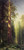 1876 Albert Bierstadt Les Grands Arbres American painting Poster Canvas Movie Fi