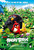 Angry Birds (2016)_12 Movie Film Poster Canvas iconic design