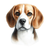 40 Beagle Poster Canvas Movie Film Print A0 A1 A2 A3 A4 A5 A6 Art Wall Decoratio