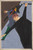 Jacob Lawrence - Race riots were very numerous all over the North because of the